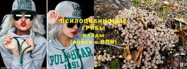 сатива Бугульма