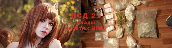 ГАЛЛЮЦИНОГЕННЫЕ ГРИБЫ Богданович