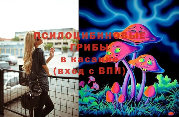 ALPHA-PVP Богородицк