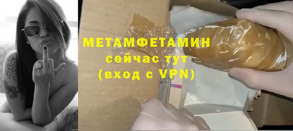 ГАЛЛЮЦИНОГЕННЫЕ ГРИБЫ Богданович