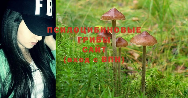 марки lsd Бородино